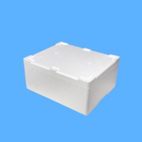 Strafor Kutu 10 Kg